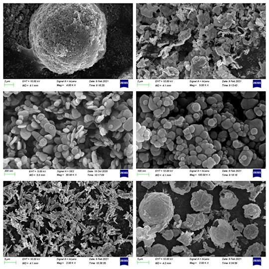 Electron micrograph of barium sulfate with different sizes and various shapes from Hongzhi New Materials Electron micrograph of barium sulfate with different sizes and various shapes from Hongzhi New Materials