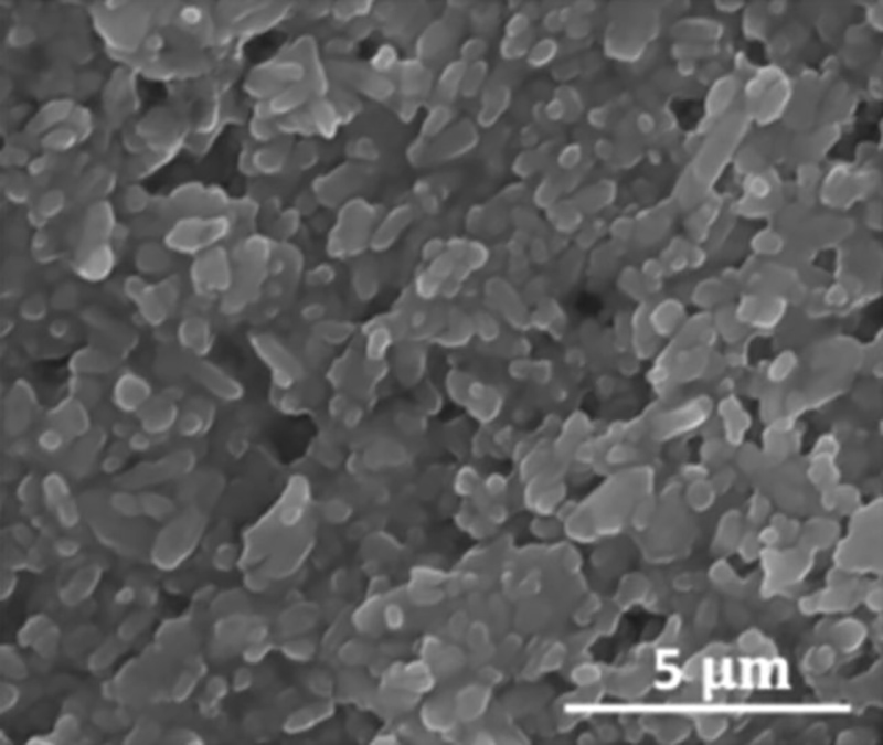 Microstructure of barium sulfate - acrylic acid composite coatings with volume concentration of 60%